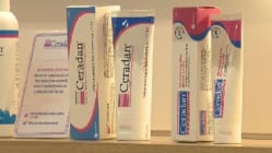 Related article image