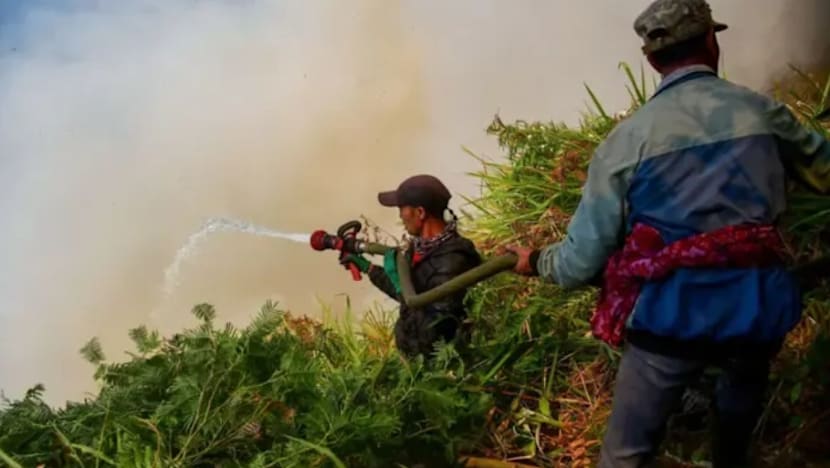 Kebakaran hutan Gunung Bromo cecah 60 hektar, operasi udara dikerahkan