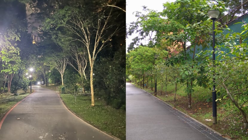 Netizen Creeped Out By Bad Odour When Jogging Along Queenstown Park Connector At Night, Was Told He Encountered A Ghost