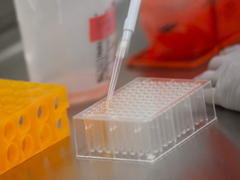 The studies looked at a prototype vaccine and whether infection with SARS-CoV-2 provides immunity against re-exposure.