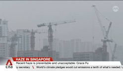 Haze in Singapore: Country looks to strengthen laws, hold companies accountable - Grace Fu