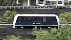 Related article image