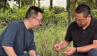 Lost Plantations - How Singapore Built Its Riches With These Crops 