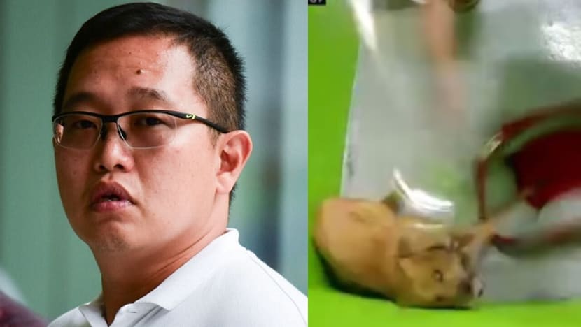 Dog handler charged with beating dog cruelly at K9 Connection training centre Dog handler charged with beating dog cruelly at K9 Connection training centre