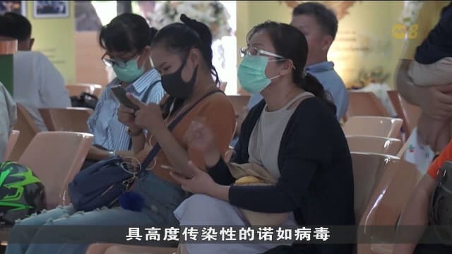 诺如病毒寒冷季节进入高发期 全球多地出现感染疫情