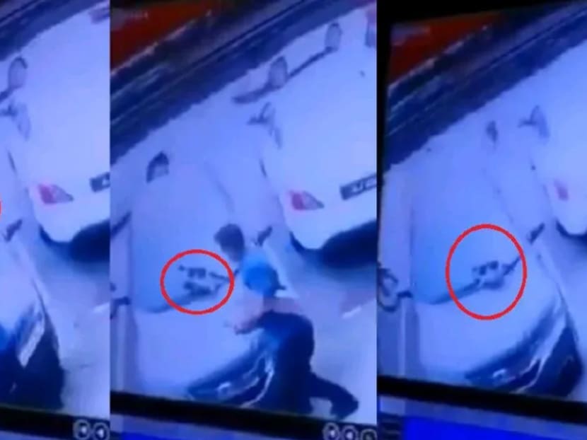 Screenshots from the viral video show the moment the suspect grabs the cat and slams it hard on the ground.