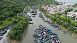 Related article image
