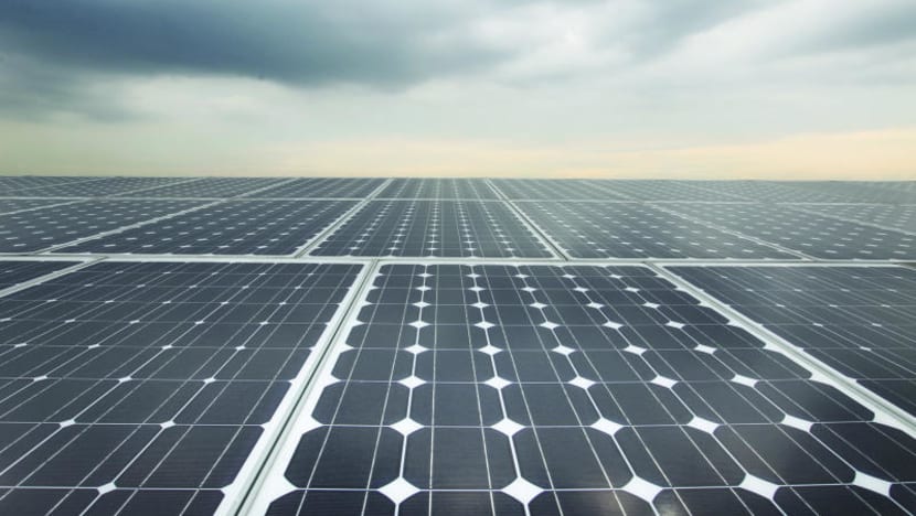 Budget 2020: Singapore doubles down on low-carbon pledge, aims for net-zero emissions