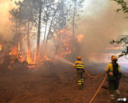 Devastating wildfires send 267,000 fleeing in France and Spain