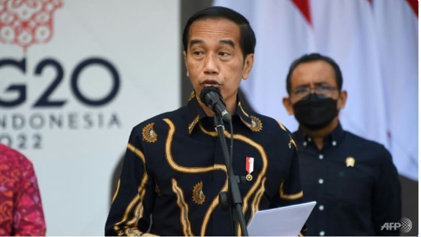 Terlalu awal untuk nilai keupayaan Jokowi bawa Rusia, Ukraine berbincang - Pengamat politik