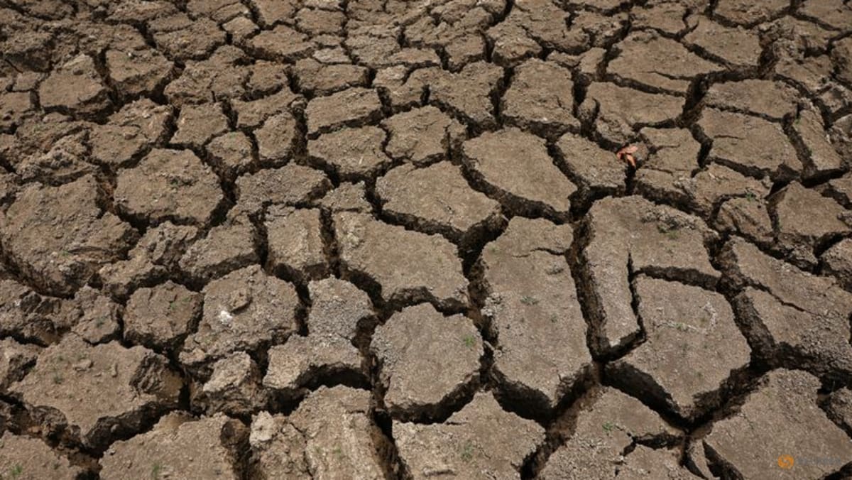 El Nino could cause 451,000 extra heat deaths: Research