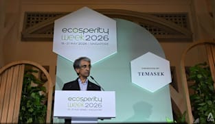 Temasek 'unlikely' to meet 2030 climate target amid tougher global landscape: CEO Dilhan Pillay