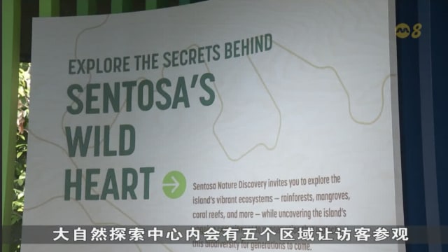 圣淘沙大自然探索中心焕新登场 互动展览展现生态多样与保育工作