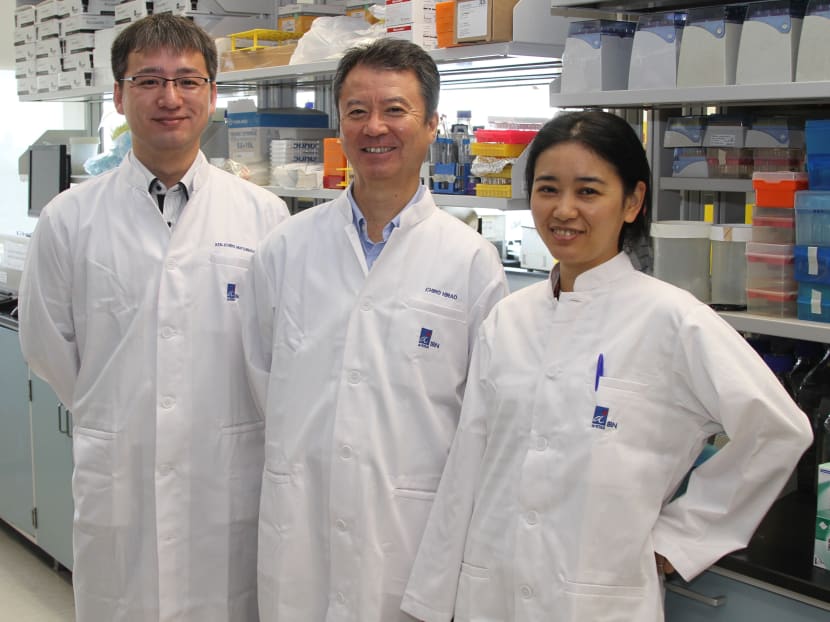 The Institute of Bioengineering and Nanotechnology (IBN) researchers who invented the more efficient DNA aptamer technology. From left: Mr Ken-ichiro Matsunaga, Dr Ichiro Hirao and Dr Michiko Kimoto. Photo: IBN