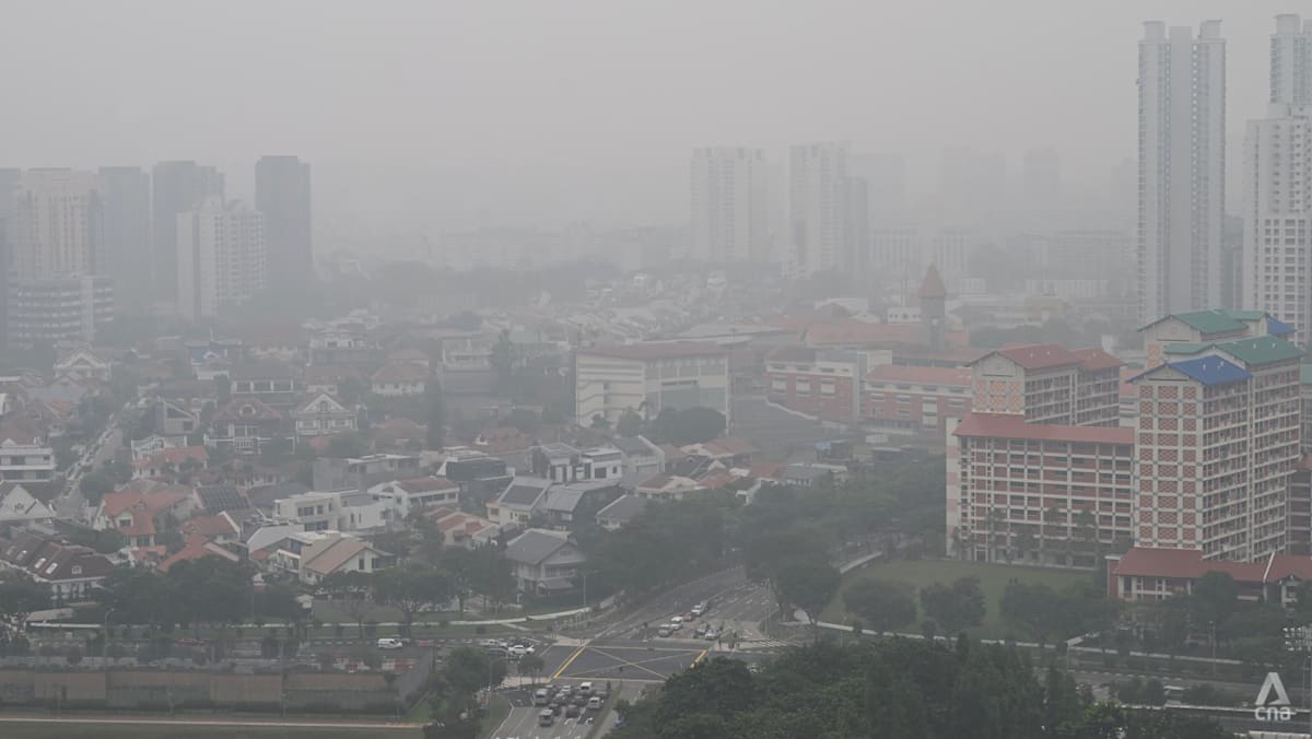 Singapore looking into which companies responsible for haze-causing fires, may take legal action: PM Wong