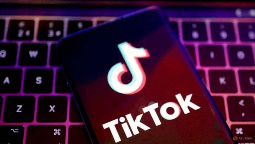 Meta and TikTok challenge tech fees in second highest EU court