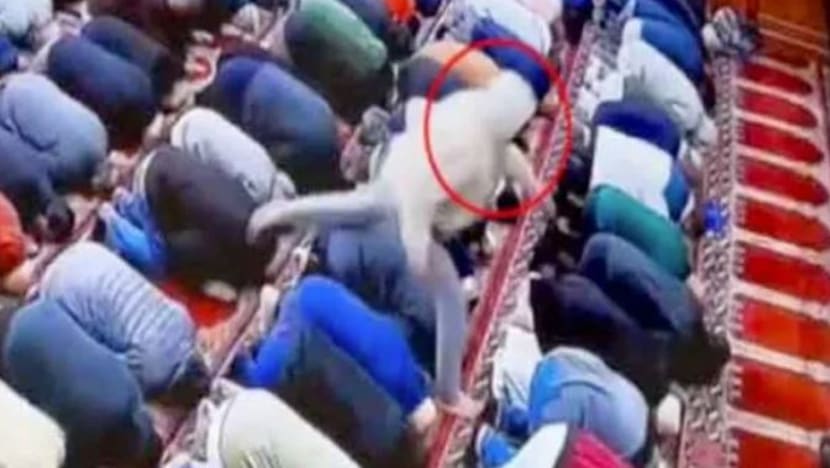 Imam masjid di New Jersey ditikam ketika solat subuh Imam masjid di New Jersey ditikam ketika solat subuh