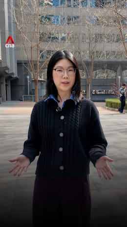 Decoding Beijing's 2026 economic jargon - and why it matters