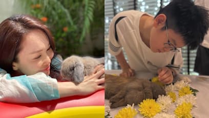 Fann Wong Mourns Passing Of Pet Rabbit: "Zed Always Proudly Calls [Her] His Younger Sister"
