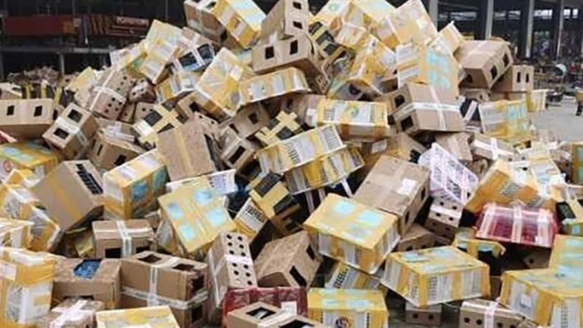 4,000 haiwan peliharaan ditemui mati dalam kotak-kotak di depot logistik China