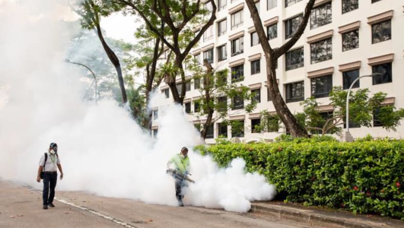 Commentary: Record dengue cases complicates Singapore's fight against COVID-19 Commentary: Record dengue cases complicates Singapore's fight against COVID-19