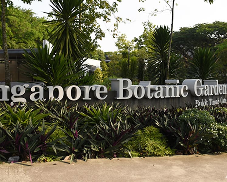 Police warn against calls to gather at Singapore Botanic Gardens for event related to Israel-Hamas war