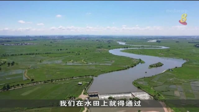 中国科研人员改善东北部盐碱地土壤 提高粮食产量