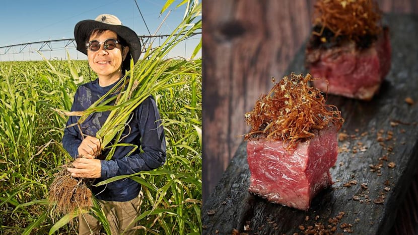 From Singapore to Western Australia’s remote north: How Bruce Cheung built a successful wagyu business