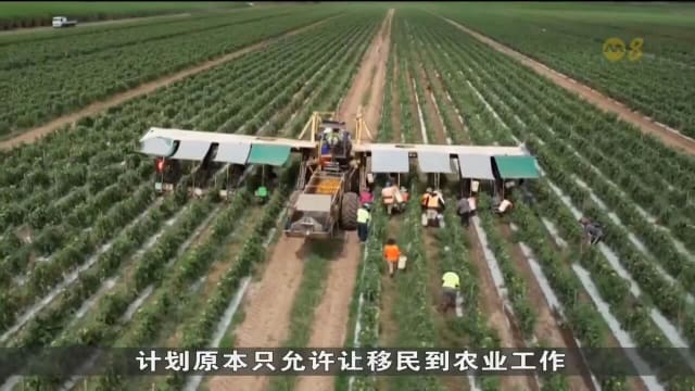 面对人手短缺 澳洲放宽移民政策