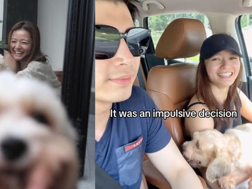 Shawn Thia Let Fianc&eacute;e Xenia Tan Leash Him And Walk Him In Public To Assure Their Rescue Dog That The Leash Is Not Scary