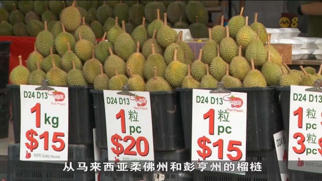 马国恶劣天气导致榴梿收成延迟 本地供应也因此减少