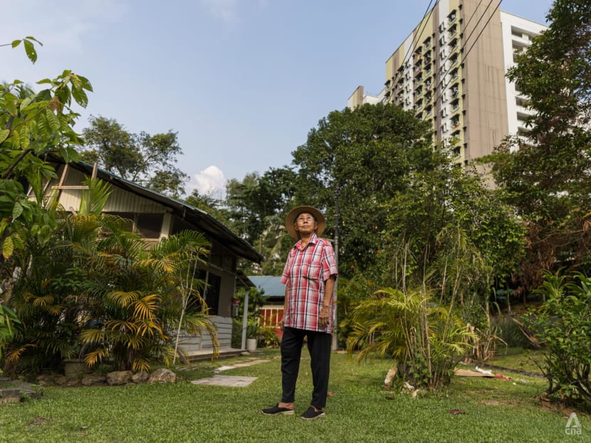 'No need to be greedy': Co-owner of mainland Singapore's last kampung is honouring late dad's wish by not selling 'No need to be greedy': Co-owner of mainland Singapore's last kampung is honouring late dad's wish by not selling