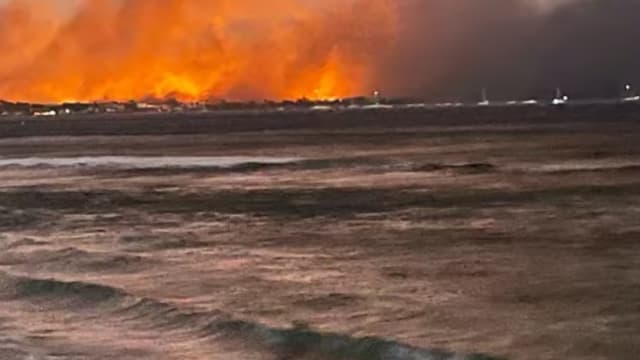 夏威夷林火死伤惨重 政府预计死亡人数将继续攀升