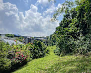 Nature groups welcome revised Maju Forest and Gillman Barracks housing plans, but maintain need for safeguards