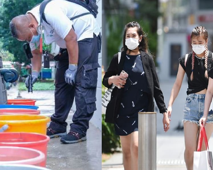 Commentary: In Singapore, battling the COVID-19 threat outside and the dengue peril at home