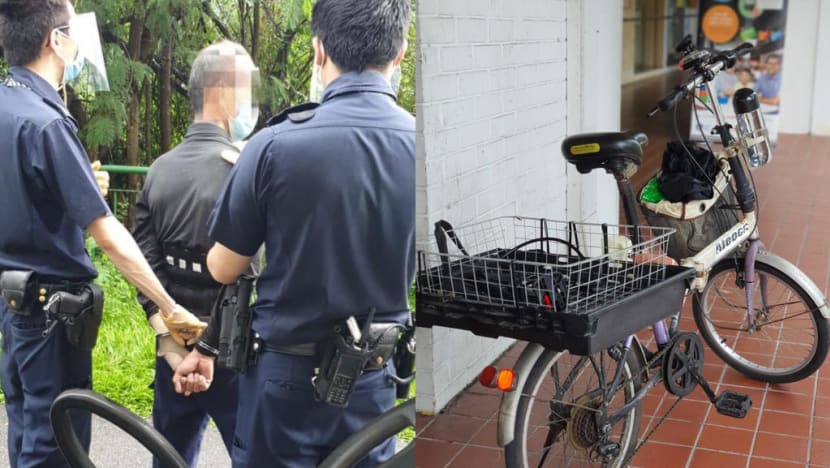 Man admits almost severing NParks officer’s thumb in attack with knife, walking stick with hidden blade