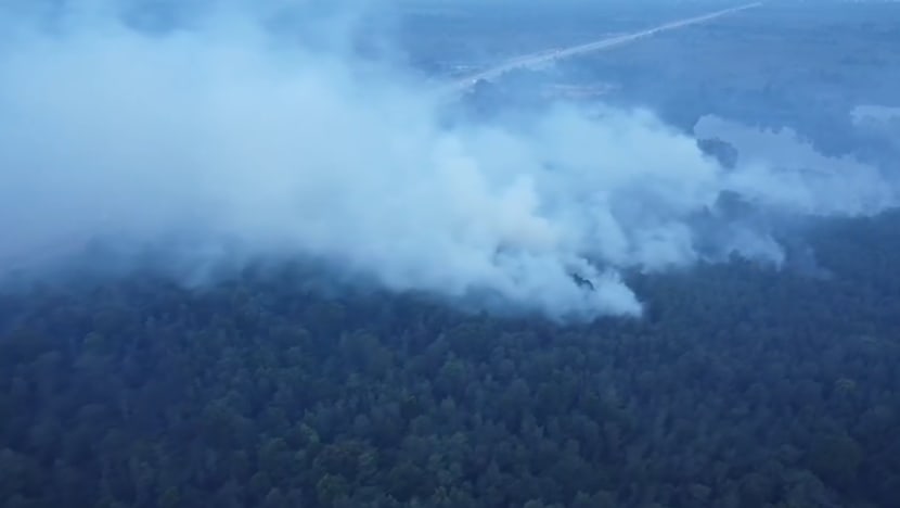 Kebakaran hutan 32 hektar di Johor berjaya dipadam selepas 7 hari Kebakaran hutan 32 hektar di Johor berjaya dipadam selepas 7 hari