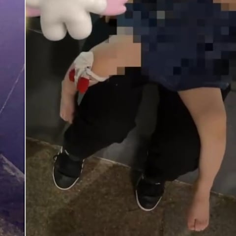 亚洲文明博物馆外散步 两岁女童遭蟒蛇咬伤哭送院