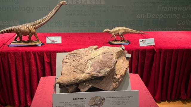 香港首次发现恐龙化石 初步估计属白垩纪时期恐龙