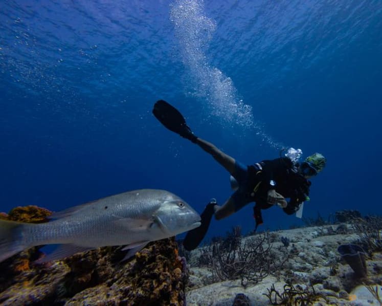 As the UN's High Seas Treaty takes effect, what does it mean for Southeast Asia?