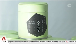 Japan's matcha boom: Soaring demand creates new challenges for tea growers 