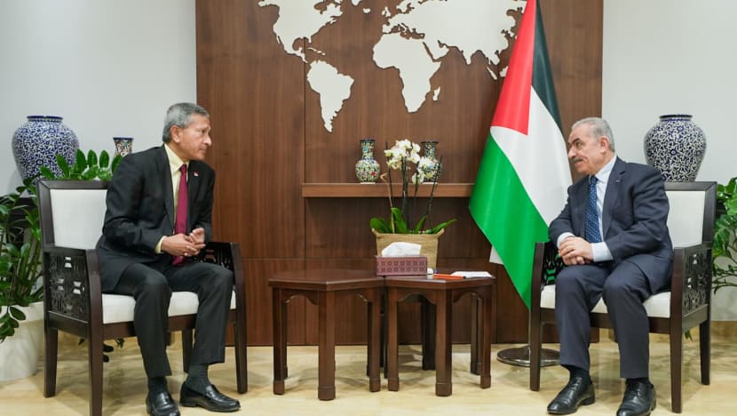 Singapore has ‘very limited role’ to play in Middle East conflict: Vivian Balakrishnan Singapore has ‘very limited role’ to play in Middle East conflict: Vivian Balakrishnan