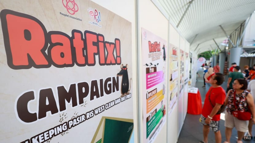 Pasir Ris West launches multi-agency campaign to tackle rat problem Pasir Ris West launches multi-agency campaign to tackle rat problem