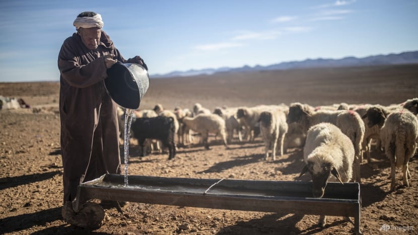 Climate change threatens centuries-old oases in Morocco