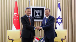 Related article image