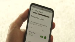 Related article image