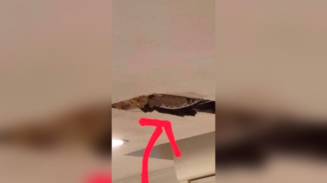 铁道广场的土司工坊 天花板脱落疑现蟒蛇