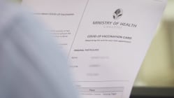 Related article image