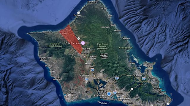 暴雨致水位高涨 夏威夷下令瓦胡岛老旧水坝附近居民紧急撤离