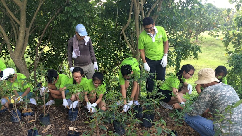 Bishan-Ang Mo Kio Park to blossom into habitat for more butterflies